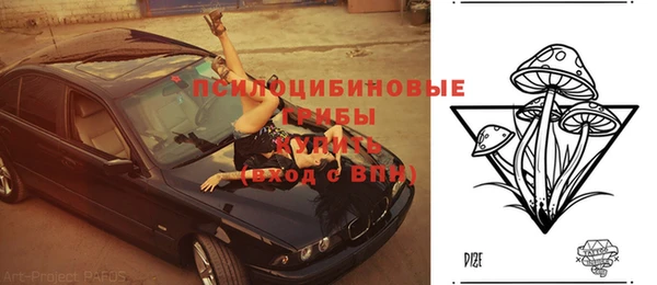 винт Пересвет