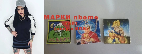 винт Пересвет
