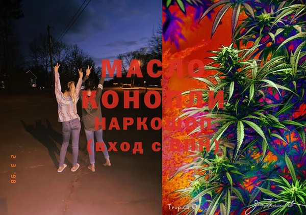 винт Пересвет