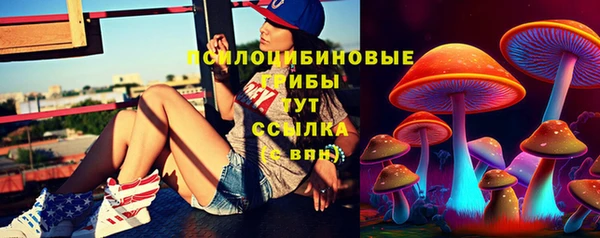 наркотики Всеволожск