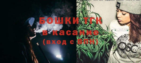 винт Пересвет
